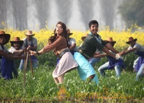 Maan Karate Movie Photos photo 6
