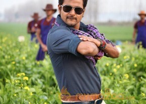 Maan Karate Tamil Movie Stills photo 22