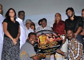 Maharaja Movie Audio Launch Gallery photo 11