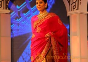 Models Saree Fashion Show Photos photo 20
