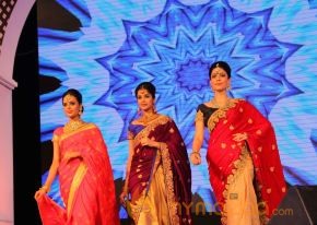 Models Saree Fashion Show Photos photo 47