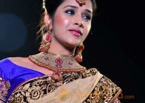 Models Saree Fashion Show Photos photo 40