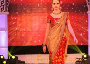 Models Saree Fashion Show Photos photo 3