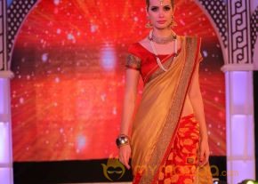 Models Saree Fashion Show Photos photo 4