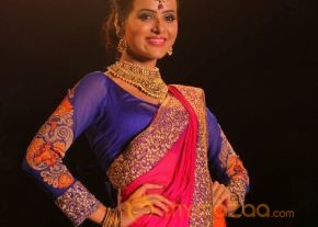 Models Saree Fashion Show Photos photo 46