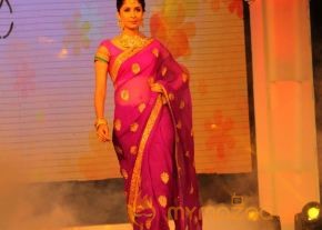 Models Saree Fashion Show Photos photo 36