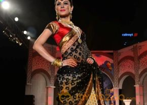 Models Saree Fashion Show Photos photo 11