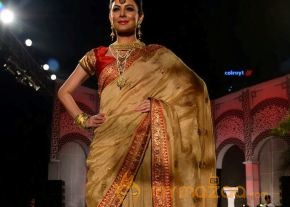 Models Saree Fashion Show Photos