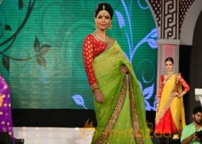 Models Saree Fashion Show Photos photo 37