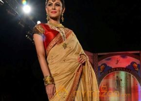 Models Saree Fashion Show Photos photo 18
