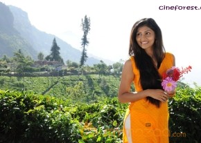 MOONDRU PER MOONDRU KAADHAL MOVIE GALLERY photo 17