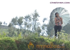 MOONDRU PER MOONDRU KAADHAL MOVIE GALLERY photo 27