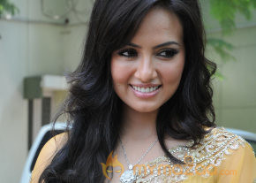 Nadigayin Diary Movie Audio Launch Gallery  photo 13