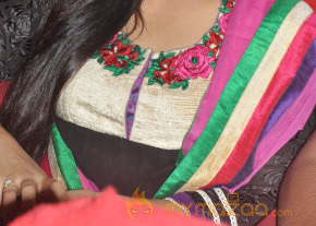Nedunchalai Movie Audio Launch Photos  photo 34