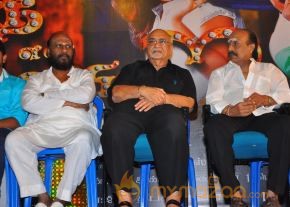 Nee En Uyire Movie Audio Launch Stills photo 32