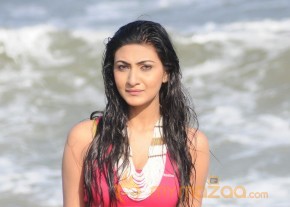 Neelam Upadyay Latest Photos Stills photo 7