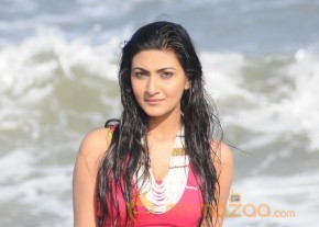 Neelam Upadyay Latest Photos Stills photo 11