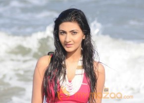 Neelam Upadyay Latest Photos Stills photo 24