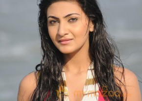 Neelam Upadyay Latest Photos Stills photo 4