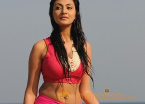 Neelam Upadyay Latest Photos Stills photo 26