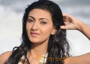 Neelam Upadyay Latest Photos Stills photo 17