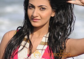 Neelam Upadyay Latest Photos Stills photo 19