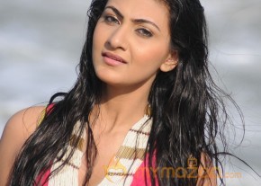 Neelam Upadyay Latest Photos Stills photo 33