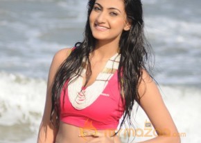 Neelam Upadyay Latest Photos Stills photo 8