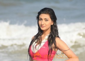 Neelam Upadyay Latest Photos Stills photo 21