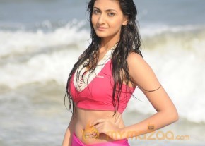 Neelam Upadyay Latest Photos Stills photo 22