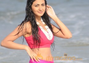 Neelam Upadyay Latest Photos Stills