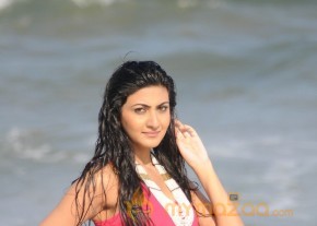 Neelam Upadyay Latest Photos Stills photo 12