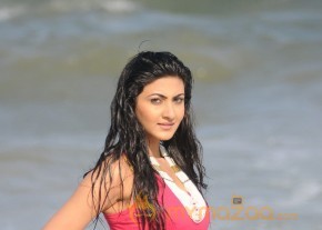 Neelam Upadyay Latest Photos Stills photo 20