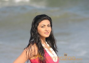 Neelam Upadyay Latest Photos Stills photo 15