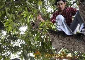 Nilaavukku 2 Seattu Movie Stills