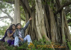 Nilaavukku 2 Seattu Movie Stills photo 23