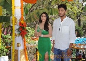 NSR Films New Movie Launch Photos photo 21