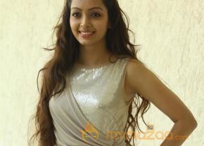 Nyuzmakers Cricket Challenge 2014 Launch Photos