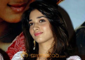Paiya Audio Lanch photo 11