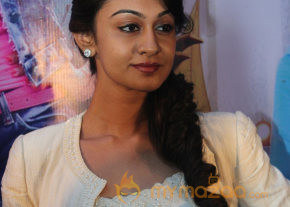 Pattathu Yaanai Movie Audio Launch  photo 22