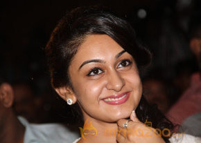 Pattathu Yaanai Movie Audio Launch 