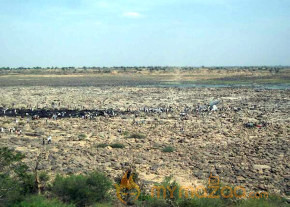 Plane c130j crashes Photos photo 2