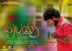 Pullaiah Prema Katha Movie Stills and Posters photo 4