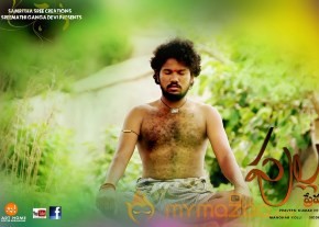Pullaiah Prema Katha Movie Stills and Posters photo 12