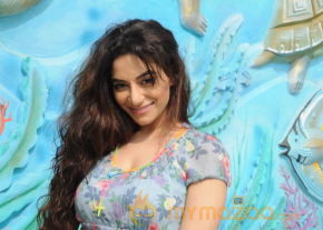 Royal Bash 2014 Press Meet Photos photo 15