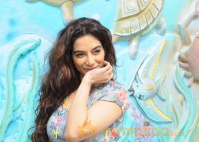Royal Bash 2014 Press Meet Photos photo 26