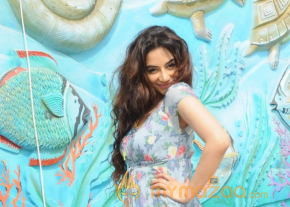 Royal Bash 2014 Press Meet Photos