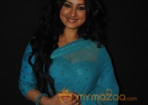 Samvidhaan Shyam Benegal’s TV Series Launch photo 15