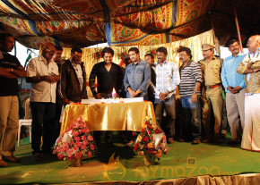 Santhanam Birthday Celebration On The Sets Of Thalaivan photo 5