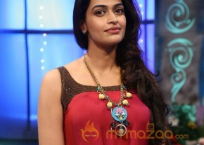 Sarabham Audio Launch Stills photo 33